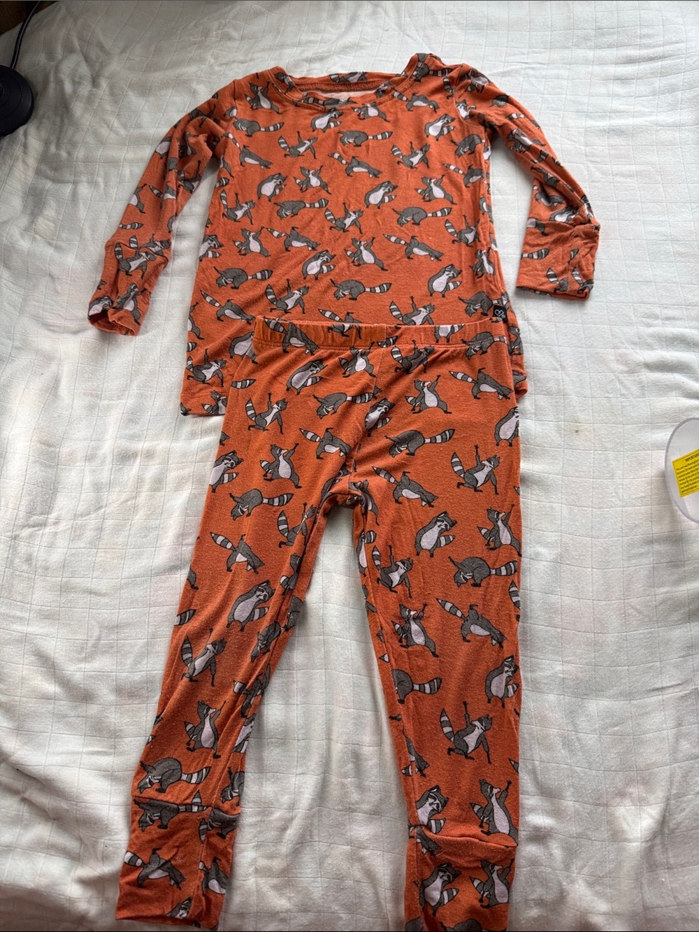Raccoon bamboo pjs